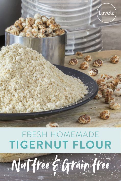 How to make Tigernut flour at home - Luvele US Tigernut Flour Bread Recipes, Tiger Nut Flour Recipes, Healthy Flour Alternatives, Luvele Recipes, Tigernut Recipes, Hazelnut Flour, Chestnut Flour, Tiger Nut, Aip Foods