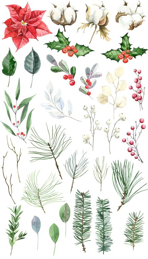 Holiday Watercolor Art, New Year Watercolor Painting, Christmas Watercolor Florals, Watercolor Happy New Year, Christmas Flowers Drawing, Winter Plant Drawing, Christmas Botanical Illustration, Winter Flowers Watercolor, Christmas Elements Illustration