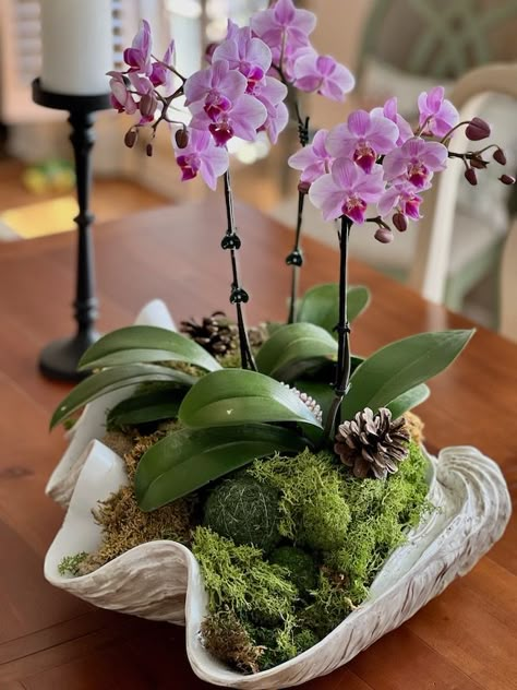 Potted Orchid Centerpiece, Orchid Flower Arrangements, Cozy Living Room Ideas, Table Centerpieces Diy, Orchid Centerpieces, Summer Centerpieces, Make A Room, Growing Orchids, Orchid Arrangements