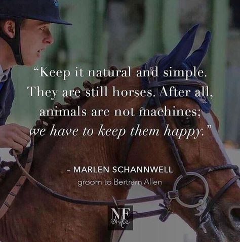 Horse Love Quotes, Horses Quotes, Equine Quotes, Inspirational Horse Quotes, Horse Riding Quotes, Equestrian Quotes, Riding Quotes, All Animals, Hunter Jumper