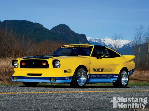 monroe handler cobra ii | Monroe Handler 1978 Ford Mustang II - The Handler Photo Gallery Mustang Ii Custom, Mustang Race Car, Mustang 1968, Road Race Car, 65 Mustang, Mustang Ii, Mustang Cobra, Ford Lincoln Mercury, Ford Mustang Shelby