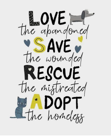 Animal Rescue Quotes, Rescue Dog Quotes, Rescue Quotes, Dog Fundraiser, Animal Rescue Ideas, Animal Lover Quotes, Animal Sanctuary, Rescue Dog, Rescue Dogs