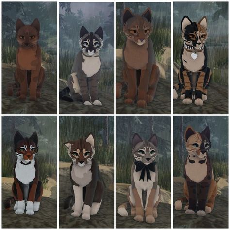 Wcue Cat Idea, Warrior Cats Wcue Oc, Wcue Non Cat Morphs, Cat Warrior Character Design, Warrior Cat Design Ideas, Cute Wcue Morph Ideas, Warriors Oc Ideas, Wcue Morph Ideas Wolf, Wcue Cat Morph Ideas