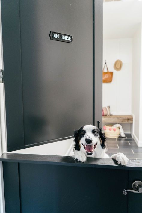 Dogs & Design Round Up Dog Mudroom, Texas Interior Design, Ranch Renovation, Dog Space, Dog Room Decor, Well House, Dog Feeding Station, Rockwall Texas, Dog Bathroom