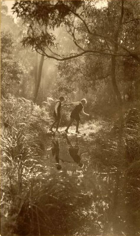 Old Photography, Foto Art, Deep Forest, Old Photographs, Brown Aesthetic, 영감을 주는 캐릭터, Vintage Photographs, Two People, Vintage Photography