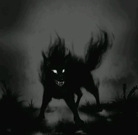 Shadow Creatures Art, Fantasy Shadow Creature, Dark Creatures Shadows, Shadow Wolf Art, Hell Aesthetic Dark, Shadow Creature Art, Hell Hound Art, Hellhound Aesthetic, Hellhound Art