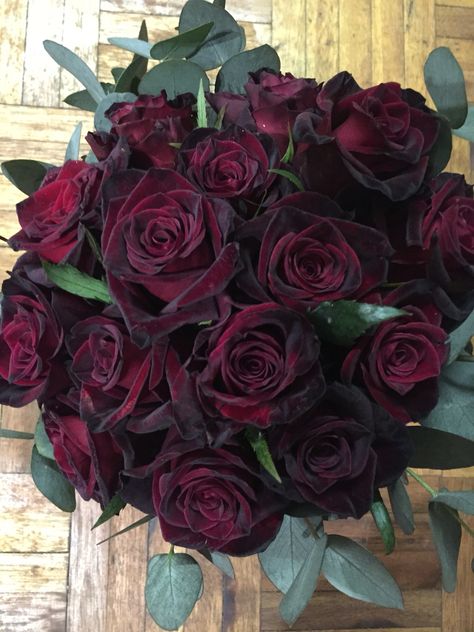 Black Bacarra Rose bouquet with Pennygum made up by Coral Carinus @ Coralee's Florist Goth Plants, Crochet Tulip Pattern, Black Baccara Roses, Black Rose Bouquet, Crochet Tulip, Black And Red Roses, Brown Hairstyles, Flower Boquet, Gothic Flowers