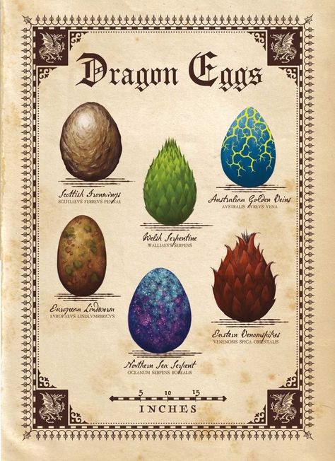 Harry Potter Dragons, Dragons Harry Potter, Mist Magic, Magical Creatures Mythology, Fantasy Creatures Mythology, Dragon Species, Harry Potter Creatures, Egg Illustration, Harry Potter Dragon