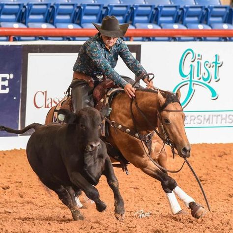 Horse Disciplines, Working Cow Horse, Ranch Horses, Barn Layout, Western Horses, Cowboy Life, Cow Horse, Horse Pics, Horse Western