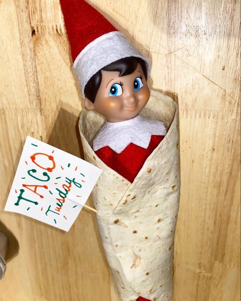 Taco Elf On The Shelf, Elf Taco Tuesday, Dental Elf On The Shelf Ideas, Elf On The Shelf Taco Tuesday, Taco Tuesday Elf On The Shelf, Elf On The Shelf Hawaiian Ideas, Elf On The Shelf Dental Office, Mexican Elf On The Shelf, Elf Classroom