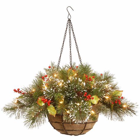 25 Easy and Eye-Catching Hanging Baskets | Better Homes & Gardens Christmas Hanging Baskets, Artificial Hanging Baskets, Battery Operated Led Lights, Hydrangea Centerpiece, Peonies And Hydrangeas, Christmas Hanging, Battery Lights, Hanging Basket, Holly Leaf