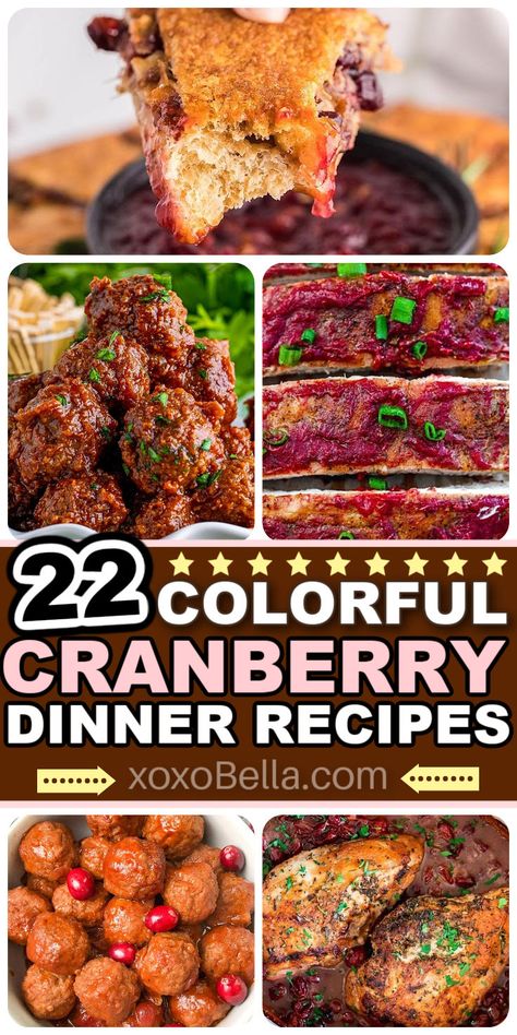 Dinner recipes using cranberries What To Do With Cranberry Sauce, Cranberry Dinner Recipes, Recipes With Cranberry, Recipes With Cranberries, Keto Cranberry Recipes, Pork Loin Crock Pot Recipes, Cranberry Quinoa Salad, Cranberry Jello Salad, Broccoli Salad With Cranberries