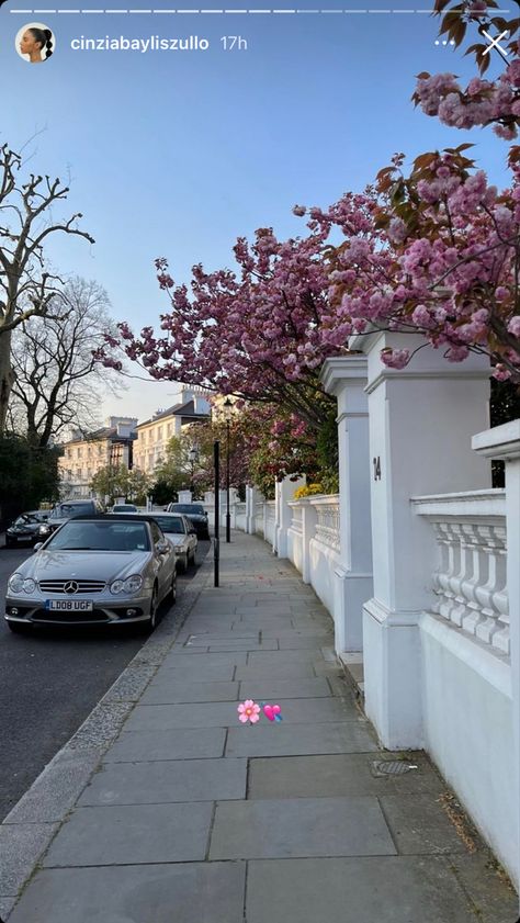 Flower Cherry Blossom, Princess Life, London Living, Dream Dream, Kensington And Chelsea, Europe Aesthetic, London Baby, London Aesthetic, Chelsea London