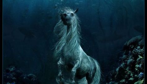 A List of Little-Known Superpowers – The Artful Author Capaill Uisce, Kelpie Horse, Water Horse, The Scorpio Races, Magical Horses, Water Spirit, Fantasy Horses, Celtic Mythology, Mythical Creature