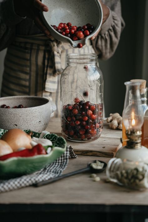 A Must Try Fire Cider Recipe Using Unexpected Herbs | Herbal Academy | In this article, we have a fun spin on the traditional fire cider with a Cranberries and Cardamom Fire Cider recipe! Herbal Salve Recipes, Fire Cider Recipe, Herbal Academy, Herbal Education, Herbal Remedies Recipes, Salve Recipes, Fire Cider, Harvesting Herbs, Herbal Salves