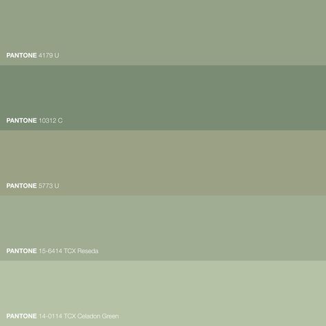 Celadon Green Color Palette, Celadon Paint Color, Celadon Palette, Korean Celadon, Longquan Celadon, Green Painted Walls, Celadon Green, Exterior House Colors, Green Wall