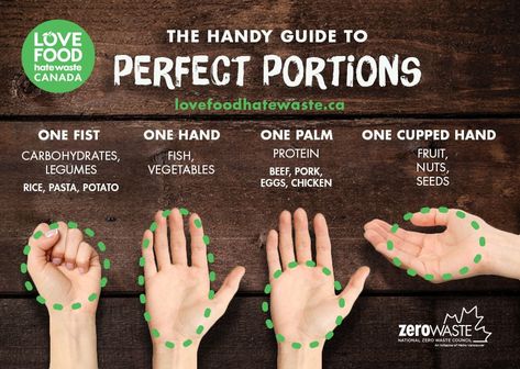 Portion Sizes - Love Food Hate Waste Canada Healthy Food Proportions, How Much Food To Eat Portion Sizes, How To Reduce Food Waste, Food Waste Management, Food Waste Statistics, Protein Fruit, Prevent Food Waste, Food Security, Nutrition And Dietetics