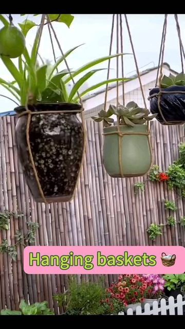 Hanging Plants Indoor Decor, Hanging Ceramics, Hanging Plant Ideas, Bonsai Landscape, Hanging Plants Diy, Diy Hanging Planter, نباتات منزلية, Plant Care Houseplant, Diy Macrame Plant Hanger