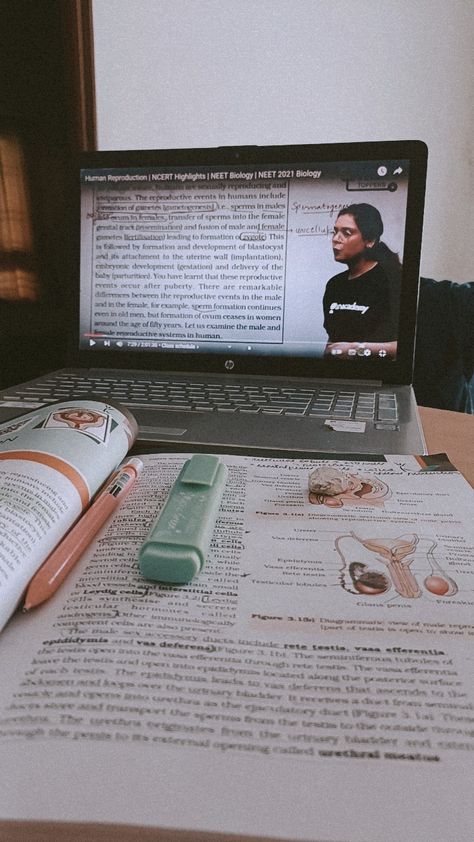 Aesthetic Study Snap Class 10, Online Study Aesthetic, Class 12th Biology Notes, Human Biology Aesthetic, Biology Girl Aesthetic, 12th Biology Notes, Biology Study Aesthetic, Aesthetic Study Snap, Class Snap