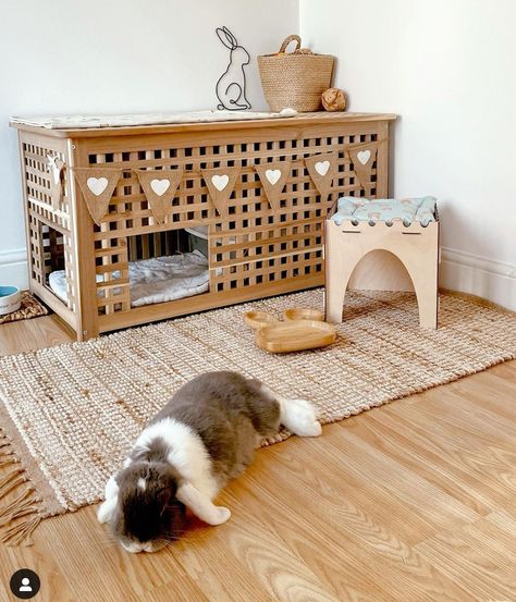 Indoor Bunny House, Diy Bunny Cage, Indoor Rabbit House, Indoor Rabbit Cage, Rabbit Enclosure, Rabbit Habitat, Pet Rabbit Care, Bunny Hutch, Bunny Room