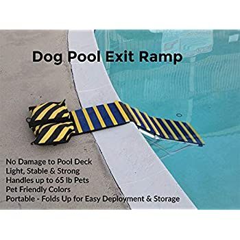 KHTS6310 Dog Pool Exit Ramp -- Want to know more, click on the image. (This is an affiliate link) Diy Dog Pool Ramp, Diy Pool Ramp For Dogs, Pool Dog Ramp, Dog Ramp For Big Dogs, Dog Pool Ramp, Ramp For Dogs To Get On Bed, Holistic Dog Care, Dog Ramp For Car, Popular Dog Names