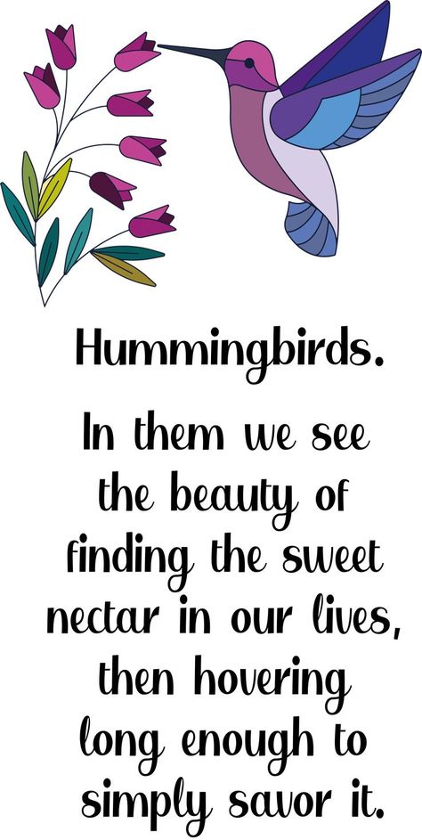 Hummingbird Quotes, Prismacolor Flowers, Hummingbird Cards, Beautiful Hummingbirds, Birds Paintings, Funny Poems, Board Quotes, Animal Symbolism, Short Poems