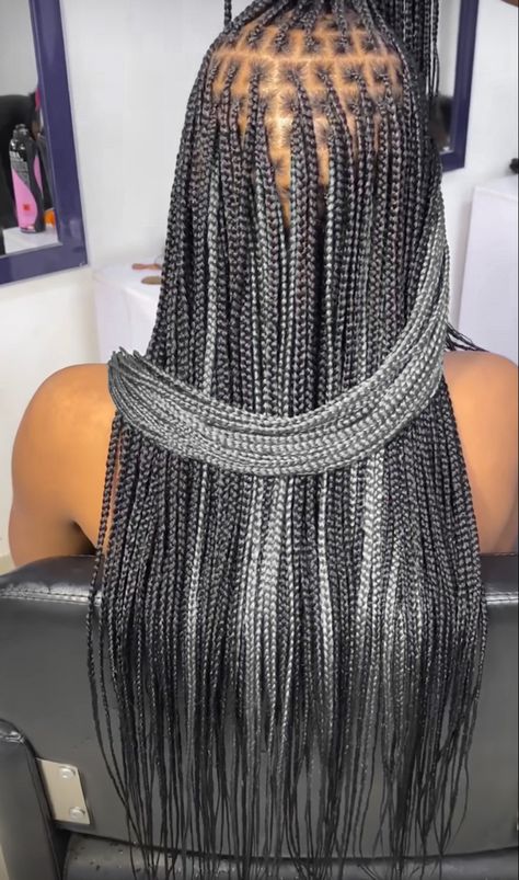 Gray And Black Knotless Braids, Grey Peekaboo Knotless Braids, Grey Knotless Braids For Black Women, Black And Silver Braids For Black Women, Black And Grey Braids For Black Women, Silver And Black Braids, Gray Box Braids Hairstyles, Salt And Pepper Knotless Braids, Gray And Black Braids