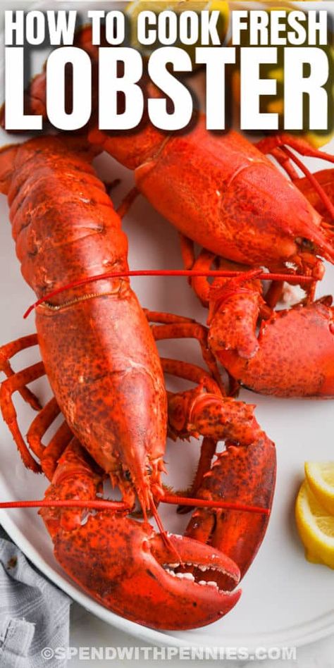 Every home cook should know how to cook lobster, and it's super easy to do. Lobster is amazing and so flavorful, it doesn't take much effort to make it taste perfect. #spendwithpennies #howtocooklobster #entree #recipe #howto #tail #oven #cookingtime #frozen #stove #tails #claws #grill #boil Cooking Live Lobster, How To Cook Whole Lobster, Whole Lobster Recipes How To Cook, Devein Shrimp, How To Make Lobster, Cook Lobster, Pescatarian Meals, Lobster Recipe, Lobster Boil