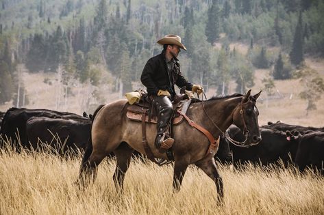 Taylor Sheridan, Cowboy Pictures, Yellowstone Park, Cowgirl Aesthetic, Mens Fashion Rugged, Horse Drawing, Ranch Life, Western Horse, Very Happy Birthday