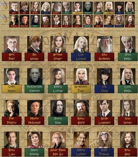 Harry Potter Group Names, Harry Potter Characters Pictures, Harry Potter All Characters, Harry Potter Names, Harry Potter Personajes, All Harry Potter Characters, Harry Potter Characters Names, Harry Potter Classes, Harry Potter Planner