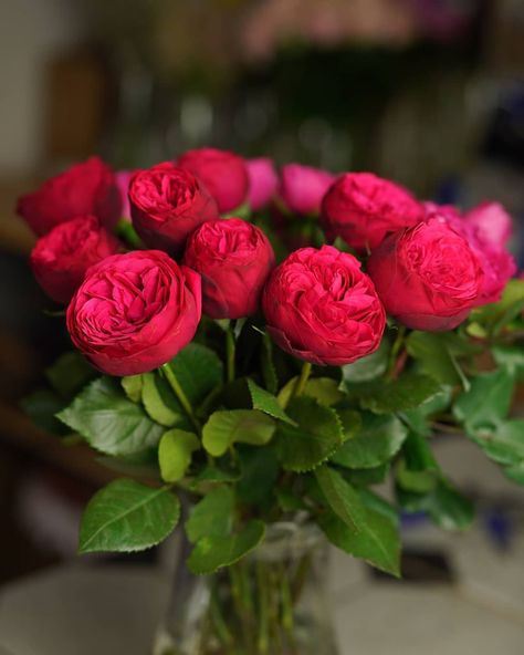 Piano Garden, Roses In Vase, Roses In A Vase, Sunday Rose, Aigle Royal, Beautiful Piano, Summer Flower Arrangements, Short Vase, Flowers Images