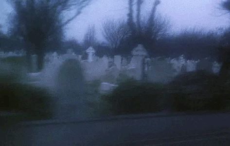 Animated Banners, Dark Grunge, Retro Horror, Banner Gif, Gothic Aesthetic, Header Banner, Aesthetic Gif, Nature Aesthetic, Grunge Aesthetic