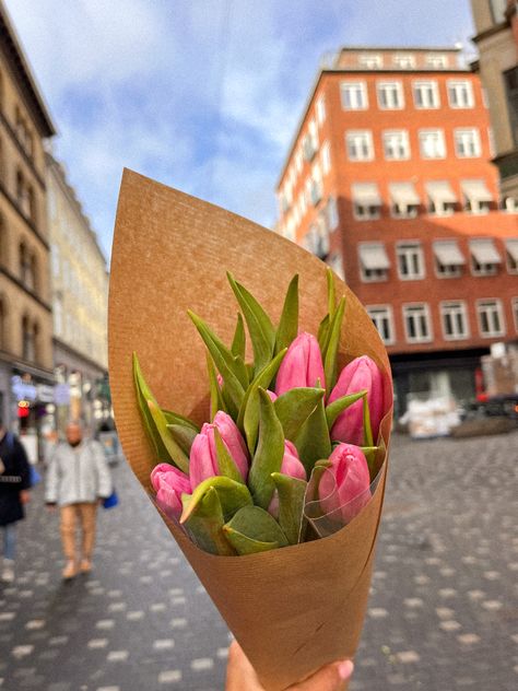 Flower aesthetic, flower market, european flower shop, tulip season, tulip goals, bouquet, simple flower arrangement, flower power, københavn, copenhagen, amsterdam tulips Tulip Market, Aesthetic Flower Market, Amsterdam Tulips, Arrangement Flower, Tulip Season, Poster Project, Tulip Bouquet, Aesthetic Flower, Euro Summer