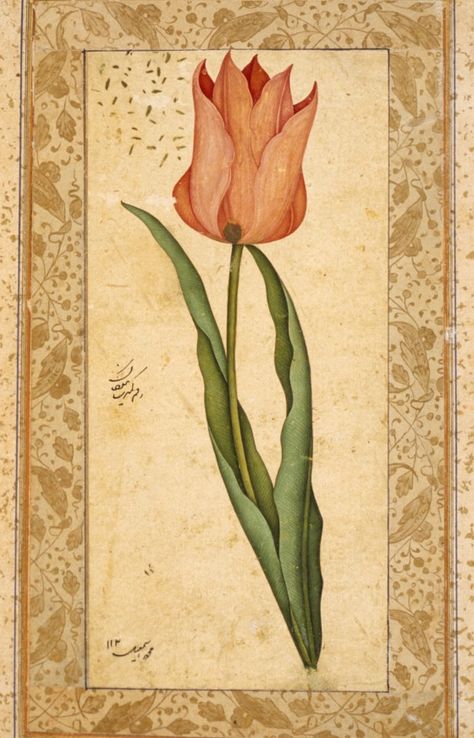 Tulip    Turkey, 1708-1709    Ink and opaque watercolor on paper Opaque Watercolor, Paper Turkey, Mughal Miniature Paintings, Ink And Watercolour, Tulip Painting, Tulips Art, Persian Miniature, Mughal Paintings, Iranian Art