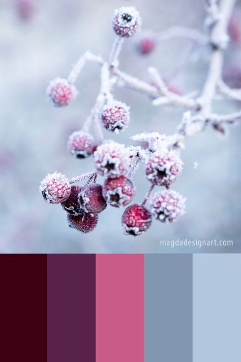 Get some inspiration: discover 10 beautiful winter color palette ideas! These color combinations are perfect for graphic designers or for any creative projects #graphicdesign #colorpalettes #inspiration #art #colors #colorcombinations #creative #branding #winter Youthful Colour Palette, Winter Flower Color Palette, Pink Winter Color Palette, Purple Winter Color Palette, January Colour Palette, Winter Pallet Color, Aestethic Color Palette, Winter Palette Colors, Winter Colors Palette