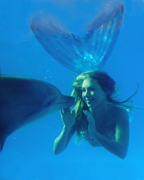 Magical mermaid and dolphins Real Life Mermaids, Kristina Webb, Bawah Air, Mermaid Photos, Under The Water, Real Mermaids, Mermaid Aesthetic, Mermaid Tale, Fantasy Magic