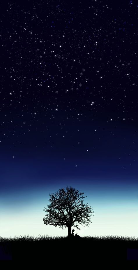 Tree At Night, Starry Night Wallpaper, Night Sky Art, Night Sky Painting, Dreamy Artwork, Night Sky Wallpaper, View Wallpaper, Cute Love Wallpapers, Cool Wallpapers For Phones