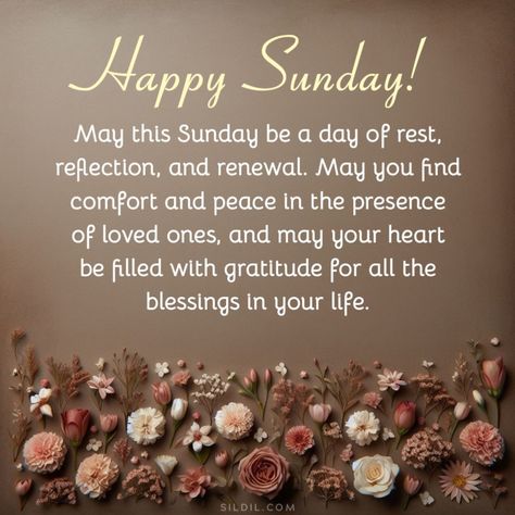 Sunday New Week Blessings, Sunday Blessings Scriptures, Blessed Sunday Morning Quotes, Blessed Sunday Quotes Faith, Blessed Sunday Quotes Inspiration, Sunday Prayers And Blessings, Sunday Blessings Inspiration Faith, Sunday Blessings Quotes, Good Sunday Morning Blessings