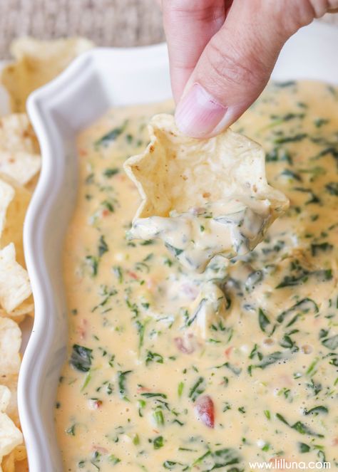 Cheesy Spinach and Bacon Dip - one of the easiest and most delicious dips you'll ever make! All it takes is cream cheese, Velveeta, spinach, diced tomatoes, and bacon!! Spinach Bacon Dip, Spinach Puffs Recipe, Cheesy Spinach Dip, Cheese Puffs Recipe, Healthy Sauce, Cream Cheese Spinach, Delicious Dips, Cheesy Spinach, Spinach Dip Recipe