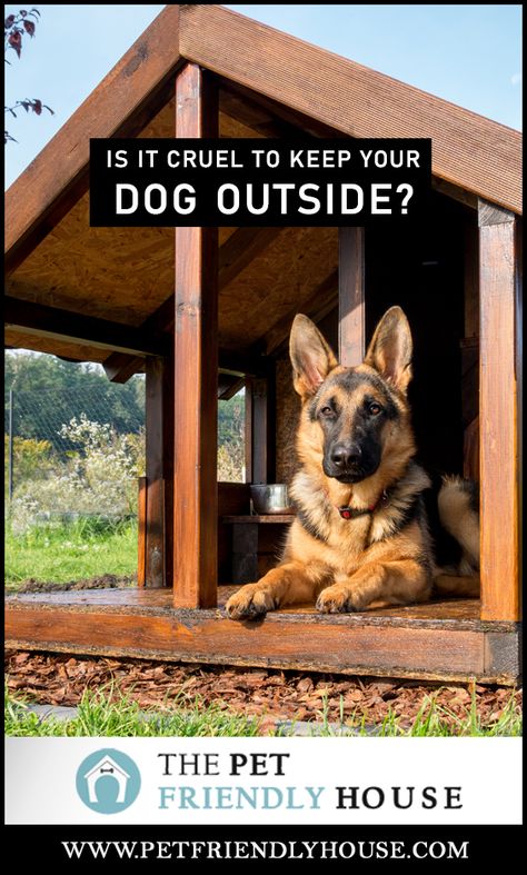 Is it cruel to leave a dog outside? The answer is: that depends. There are a number of factors that should be considered before making this decision. . . . . . . . #dogs #doghouse #doglover #weather #winter #summer Dog House On Porch, Outdoor Dog Living Area, Dog House Area Outside, Outdoor Dog House For 2 Dogs, Outdoor Winter Dog House, Dog House Shed Ideas, Large Dog Backyard Ideas, Luxury Dog House Outdoor, Winterize Dog House