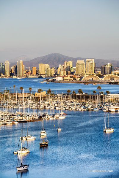 SAN DIEGO CITY SKYLINE SAN DIEGO BAY MARINA SAILBOATS SAN DIEGO CALIFORNIA COLOR VERTICAL San Diego City Skyline, Sam Diego, Horror High, San Diego Skyline, San Diego City, California Colors, United States Photography, San Diego Bay, Travel California