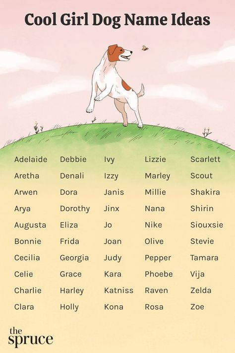 Unique Puppies, Cool Female Dog Names, Best Girl Dog Names, Dog Names Girl, Puppies Names Female, Funny Dog Names, Popular Dog Names, Husky Names, Dog Names Unique