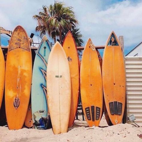 orange surfboards Deco Orange, Surfing Aesthetic, Mavericks Surfing, Surf Aesthetic, Orange Walls, Orange Aesthetic, Picture Collage Wall, Photo Wall Collage, Orange Beach