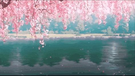 Nature Banner Gif, Pink Aesthetic Gif, Sakura Banner, Pink Flower Discord Banner, Cherry Blossom Gif, Anime Blossom Gif, Pink Banner Gif, Gif Banners, Cherry Blossom Banner Gif