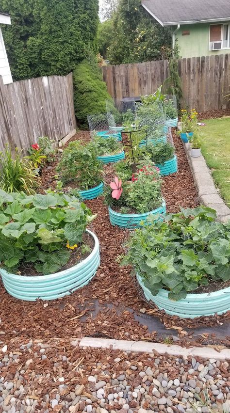 Circle Raised Garden Beds, Circle Garden Bed, Circular Garden Bed, Metal Raised Beds, Garden Bed Design, Circular Garden, Pinterest Plant, Zen Rock Garden, Bed Design Ideas