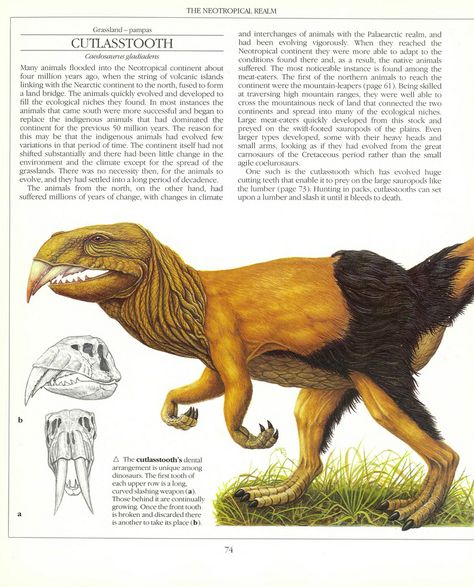 Monster Book, Speculative Evolution, Ancient Animals, Creature Artwork, Curious Creatures, Paleo Art, Alien Concept Art, Extinct Animals, Alien Creatures