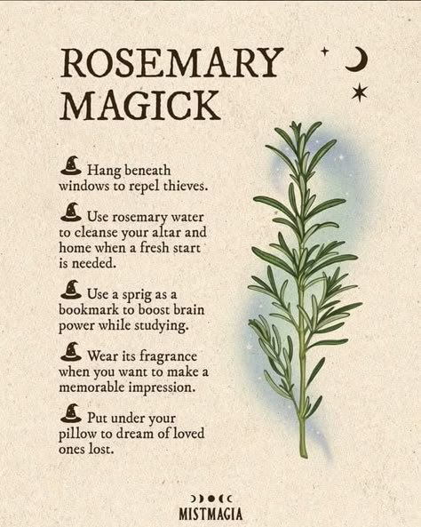 Rosemary Wreath For Protection, Tree Witchcraft, Witchy Herbs, Magickal Herbs, Witch Spells, Witch Herbs, Green Witchcraft, Magia Das Ervas, Plant Magic