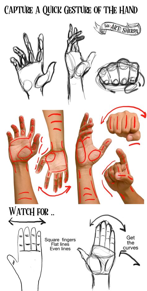 Art Sherpa, The Art Sherpa, Draw Hands, Drawing Hands, Draw And Paint, Live Art, Human Anatomy Drawing, Hand Drawing Reference, Learn Art