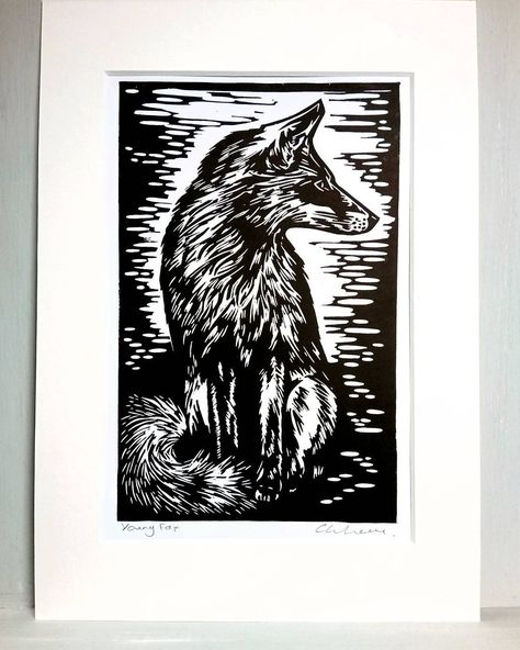 Finally listed on #etsy #fox #foxes #foxesofinstagram #instafox #redfox #keeptheban #vulpesvulpes #linocut #linoprint #linoprinting #reliefprint #handprinted #handprinting #etsyseller #printmaking #printmaker #xilogravura #welshpoppyprints Linocut Printmaking, Stamp Carving, Linocut Art, Relief Print, Fox Print, Lino Print, Linocut Prints, Linocut, Printmaking