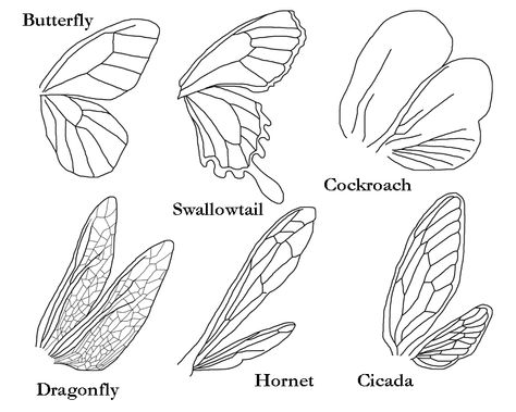 The hornet ones look neat. Not the cockroach ones, though. NO! Fairy Wing Types, Wings Template, Bug Wings, Tattoo Papillon, Insect Wings, Wings Drawing, Bird Wings, Arte Sketchbook, Fairy Wings